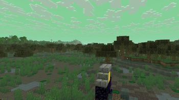 Swamp